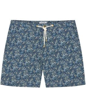 Aja Swimline Eros Chino Short - Blue