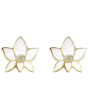 Karma and Luck Lotus Flower Stud Earrings – Growth & Mindfulness Jewellery – Lush Virtue - Metallic