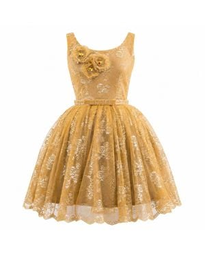 Miro Misljen Petticoat Dress - Metallic