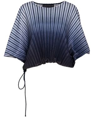 ARTISTA Gradient Pleated Bat Sleeve Top - Blue