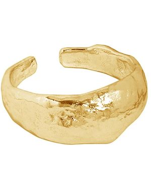 Janus Edinburgh Luskentyre Vermeil Sterling Ring - Metallic