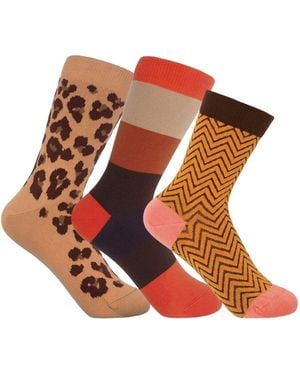 Peper Harow - Made in England Socks Bundle - Brown