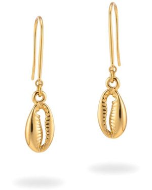 Jaredjamin Cowrie French Hook Earrings - Metallic