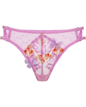Empress Mimi Madame X Lace Hipster With Butterfly Detail - Purple