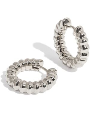 Stone Fruit Rind Hoops - Metallic