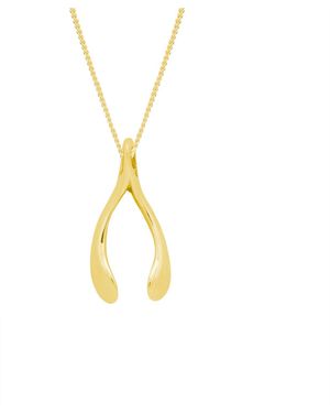 Katie Mullally Tiny Plated Wishbone Necklace - Metallic