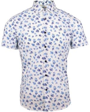 lords of harlech Scott Forna - Blue