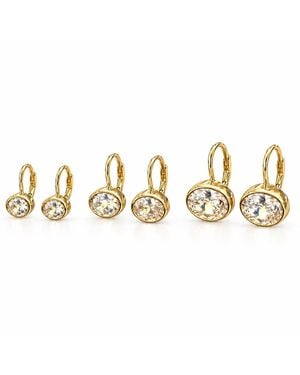 The M Jewelers The Ellipse Lever Back Earrings - Metallic