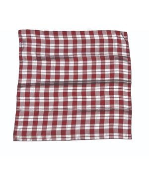 Formula S7 Plaid Silk Scarf - Red