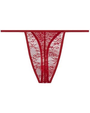 Journelle Sapna Thong Claret - Red