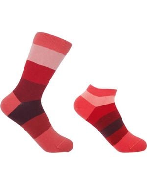 Peper Harow - Made in England Block Stripe Fire Luxury Crew & Trainer Socks Bundle - Red