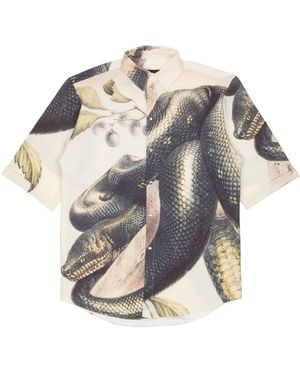 mysimplicated Short Sleeve Shirt - Blue