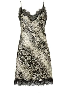 SAINTED SISTERS Scarlett Ivory Snake Chemise - Green