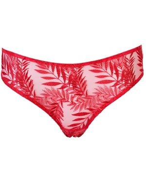 Daily Underwear Brazilian Knickers Flamingo - Red