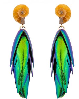 Oana Savu Beetle Earrings Ear Studs Natural Recycled Wings Small Ammonite Fossils - Green