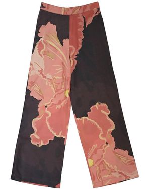 Manuela Cabrales Muscifera - Brown