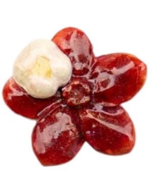 Sunset Magic Studio Floral - Red