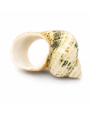 Bellus Domina Seashell Ring - Metallic