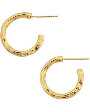 ASSUWA Galatea Hoop Earrings - Metallic