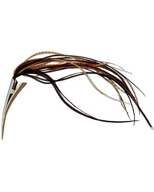 Romer Millinery Feather Clip For Hair, Hats, Turban, Lapel Xl Multi Browns