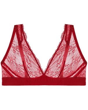 Journelle Sapna Plunge Bralette Claret - Red