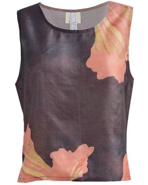 Manuela Cabrales Muscifera - Pink