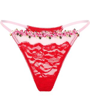Wild Lovers Celia Thong - Red