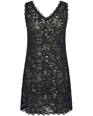 Modenaire Scalloped Lace Mini Dress - Black