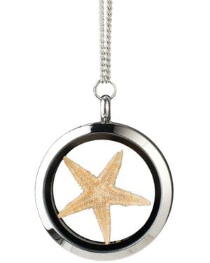 My Little Nature Neutrals Star Necklace With Natural Starfish - Metallic