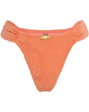 Wild Lovers Coral Kiss Bikini Bottom - Orange