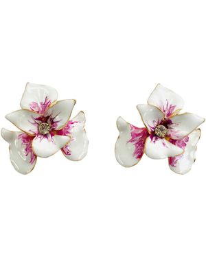 The Pink Reef With Tropic Orchid - Pink