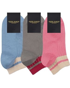 Peper Harow - Made in England Old School Trainer Socks Bundle - Pink