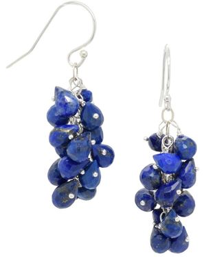 Lori Kaplan Design Cascading Lapis Sterling Earrings - Blue