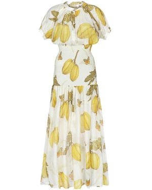 Aguaclara Fruits De L'Est Maxi Dress - Metallic