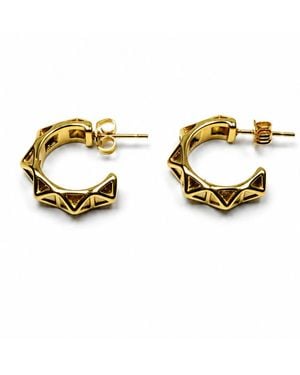Jagged Halo Jewelry Jagged Hoop Earrings Stainless Steel Plating - Metallic
