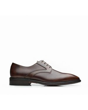 Mariano Shoes Lever Oxford - Brown