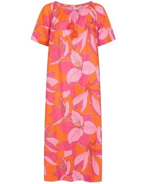 NoLoGo-chic Calypso Fruit Flower Midi Dress Cotton - Red