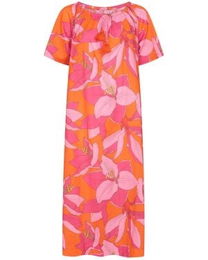 NoLoGo-chic Calypso Fruit Flower Midi Dress Cotton - Red