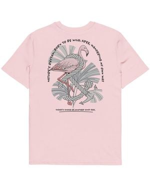 Anchor and Crew Cotton Flamingo Another Good Day Organic Cotton T-Shirt - Pink