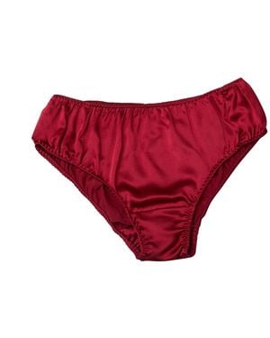 Soft Strokes Silk Set Of Two Pure Mulberry Silk Bikini Pantie - Red