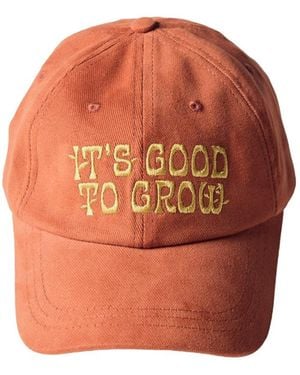 Uskees Knowledge Cap - Orange