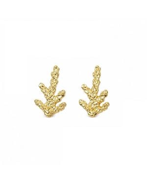Mother Nature Jewelry Minimalist Juniper Studs, Handmade Branch Earrings - Metallic