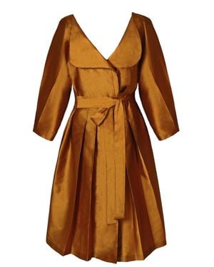Richa Sharma Collared Tunic - Brown