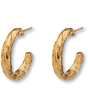 EVA REMENYI Archaic Small Hoop Earrings - Metallic