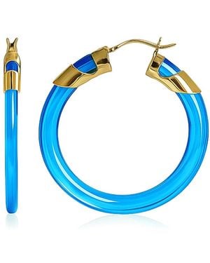 Gold & Honey Topaz Classic Flat Lucite Birthstone Hoop Earrings - Blue