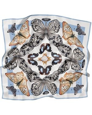 J6R6 Odyssey Large Square Silk Butterfly Scarf - Multicolour