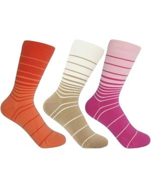 Peper Harow - Made in England Retro Stripe Socks – Bundle - Pink