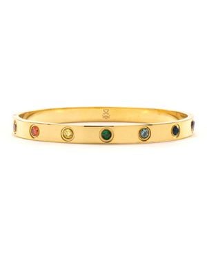 Seven Saints Chakra Healing Stone Bangle, Over Stainless Steel - Metallic