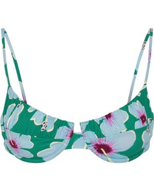 Wild Lovers Belle Bikini Top - Green