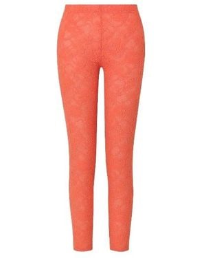 Conquista Lace Leggings Apricot - Red